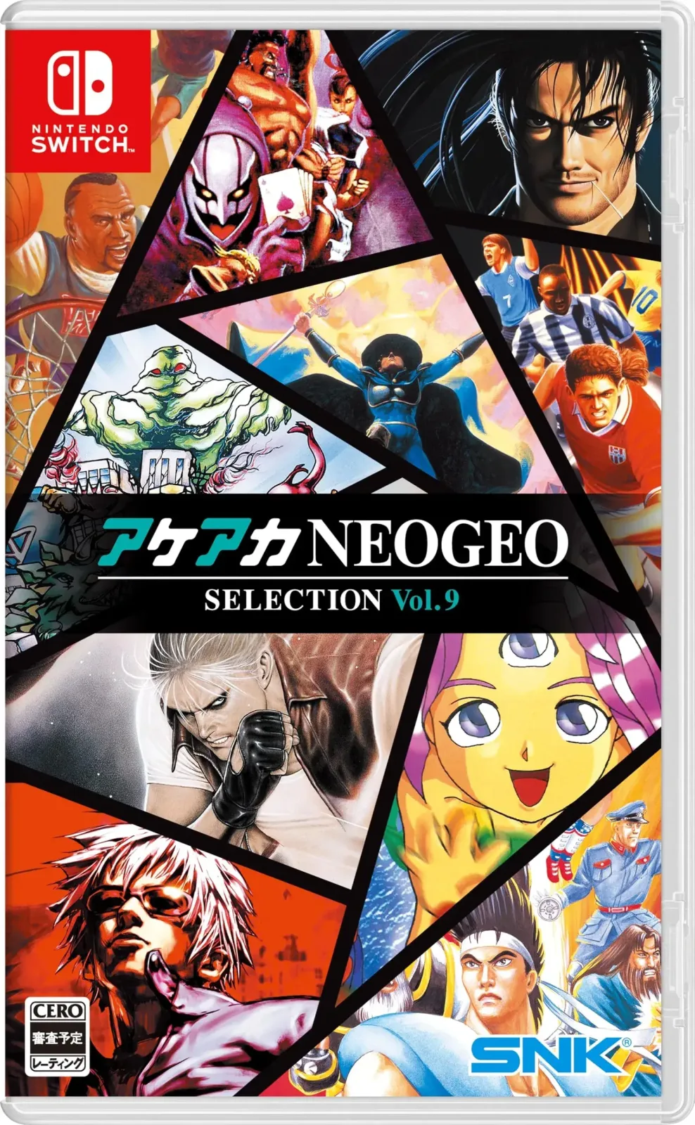 Nintendo NEOGEO Selection Classic Video Game Collection